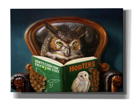 Owl Porn  by Lucia Heffernan, Canvas Wall Art Online Sale