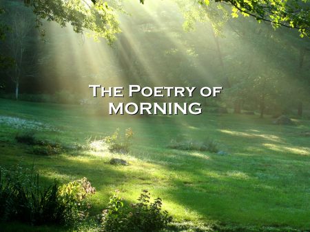 The Poetry of Morning (Audiobook) Online Sale