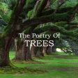 The Poetry Of Trees (Audiobook) Online Sale