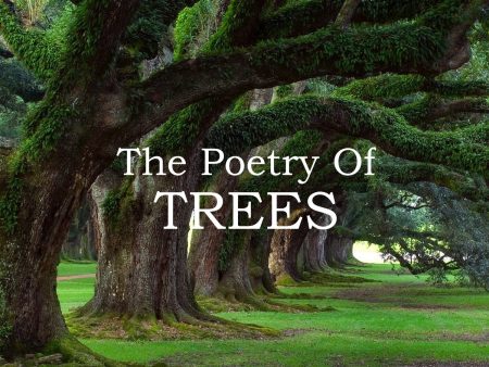 The Poetry Of Trees (Audiobook) Online Sale