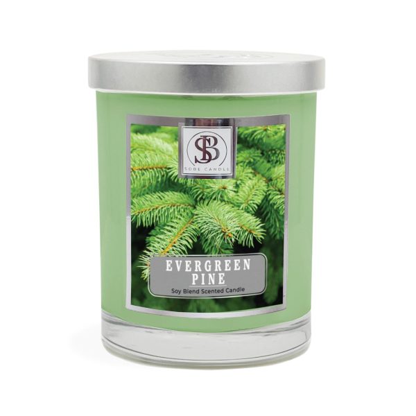 EVERGREEN PINE | Soy Scented Candle 11 oz For Discount