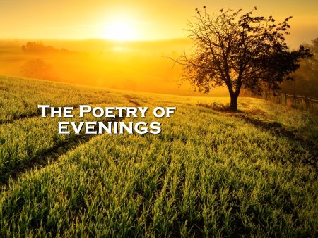 The Poetry of Evenings (Audiobook) Sale