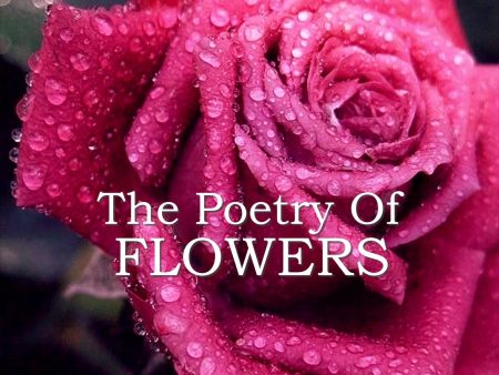 The Poetry of Flowers (Audiobook) For Cheap