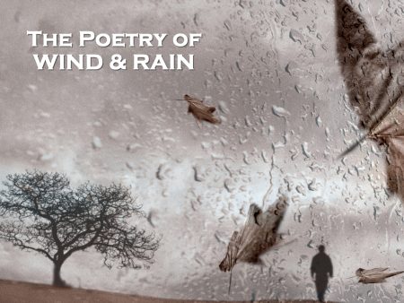 The Poetry of Wind and Rain (Audiobook) For Sale