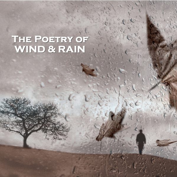 The Poetry of Wind and Rain (Audiobook) For Sale