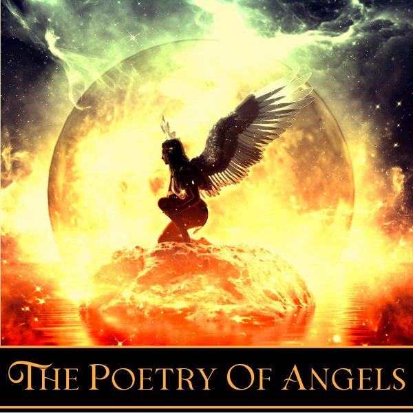 The Poetry of Angels (Audiobook) For Sale