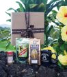 Kona Joe Iki Gift Box Online Sale