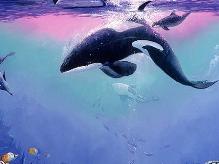 Orca Art Gift Card For Sale