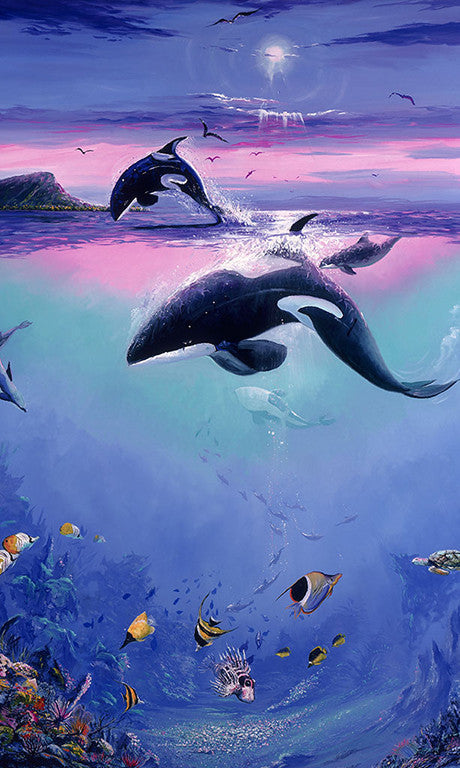 Orca Art Gift Card For Sale