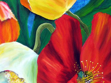 Multi Color Poppy Gift Card Sale