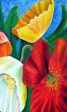 Multi Color Poppy Gift Card Sale