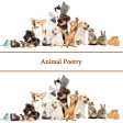 The Poetry Of Animals (Audiobook) Fashion