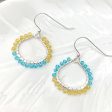 Ukraine 🇺🇦Fundraiser - Small Hoops Earrings Sale