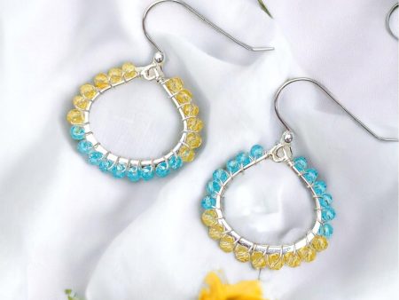 Ukraine 🇺🇦Fundraiser - Small Hoops Earrings Sale