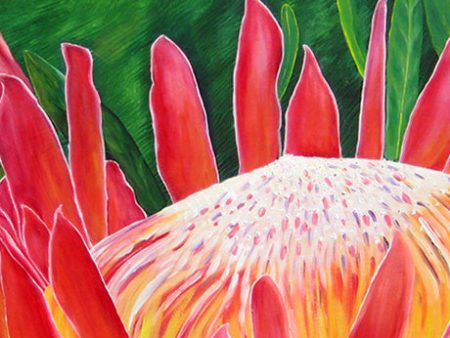 Queen Protea Gift Card Online Sale