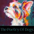 The Poetry of Dogs (Audiobook) Discount