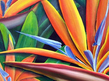 Multi Bird of Paradise Gift Card Online now