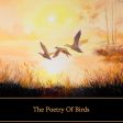 The Poetry Of Birds (Audiobooks) Hot on Sale