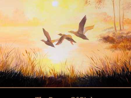 The Poetry Of Birds (Audiobooks) Hot on Sale