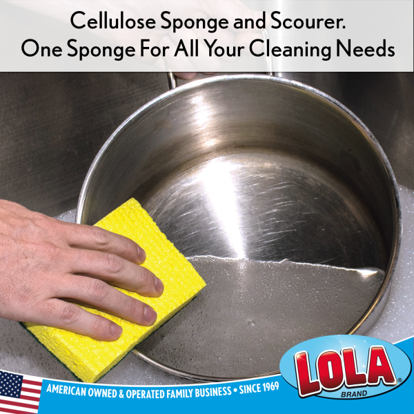 Cellulose Sponge and Scourer - Pack of 6 For Cheap