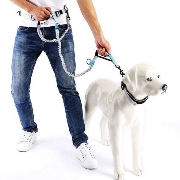 Summer New Pet Supplies Cats and Dogs Traction Rope Dog Running Dog Rope and Belt Puppy  Pet Accessories  Dog Chain Hot on Sale