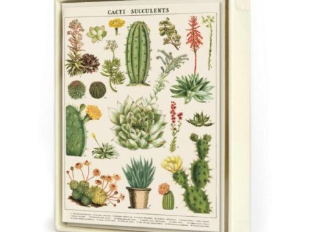 Succulents Assorted Boxed Notecards For Sale