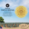 The Original  Tampico Le Brush - Tampico Bristle Vegetable Brush with Comfort Wood Knob Online Sale