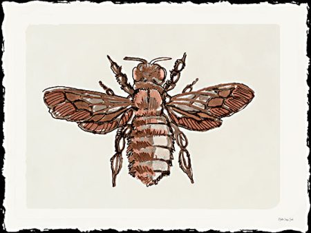 SDS1455 - Bee Sketch 2 - 16x12 Online Sale