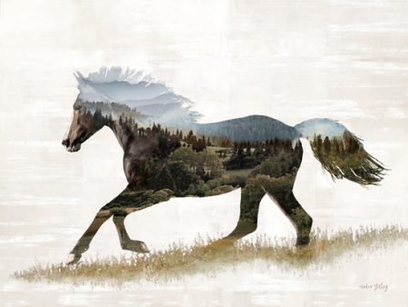 AS189 - Landscape Horse Fusion - 16x12 Online