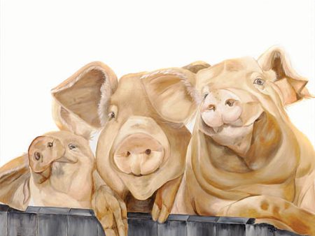 DF153 - Three Pigs - 16x12 Sale