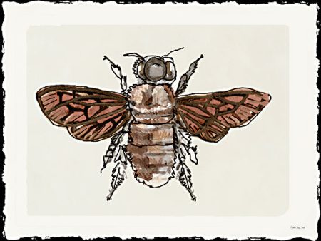 SDS1454 - Bee Sketch 1 - 16x12 Online now