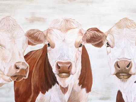 DF151 - The Herefords - 18x9 Online